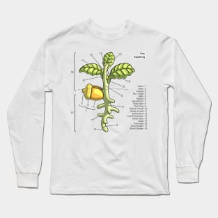 Oak Seedling Diagram Long Sleeve T-Shirt